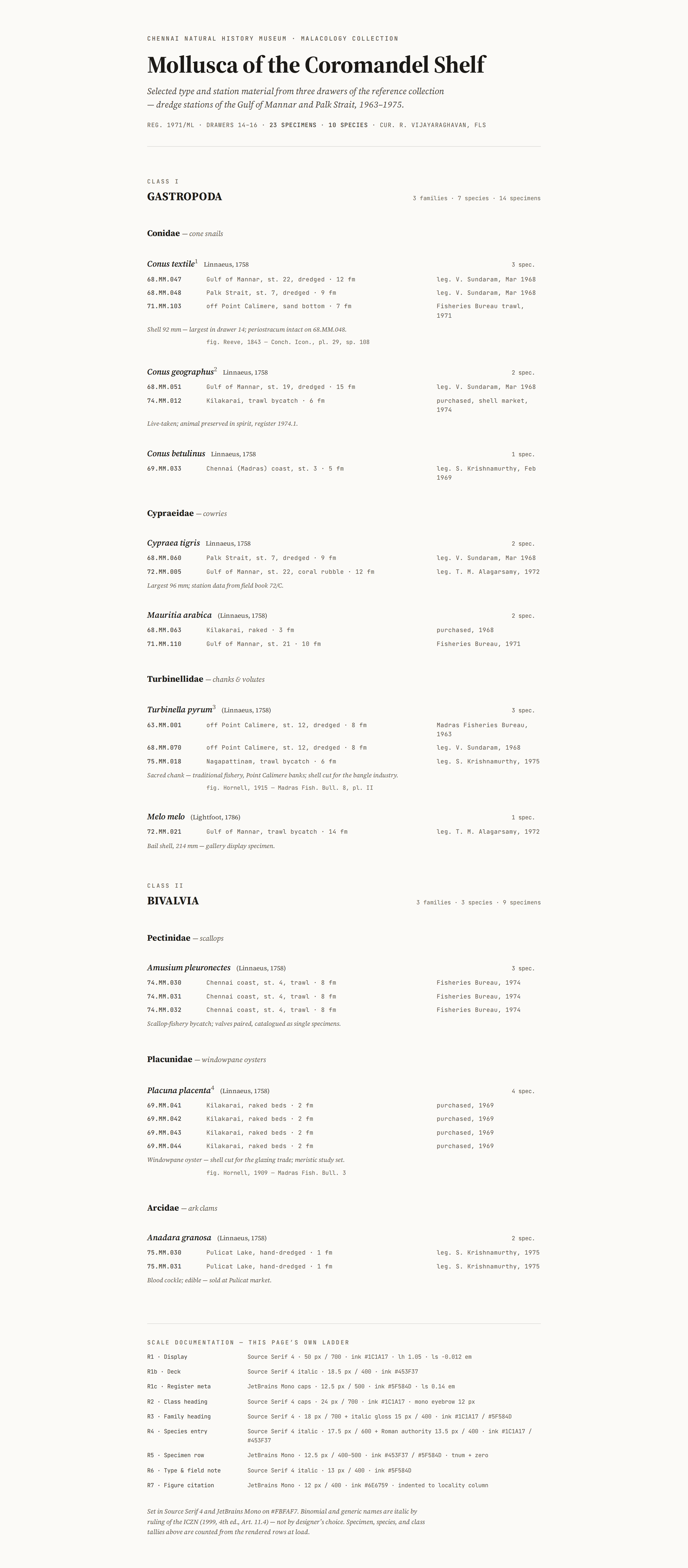 Type Scale v6 / Mollusca of the Coromandel Shelf desktop